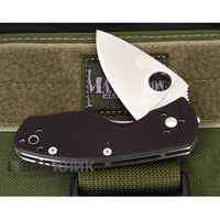 Нож Spyderco Ambitious (C148GP)