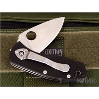 Нож Spyderco Ambitious (C148GP)