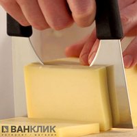 Нож для сыра Victorinox Fibrox Cheese 6.1103.09