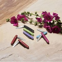 Садовый нож Victorinox Floral 3.9050.B1, Цвет : Красный, изображение 2