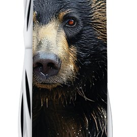 Многофункциональный нож Victorinox FieldMaster Animal Черный медведь 1.4713.3.F1100pw, изображение 3