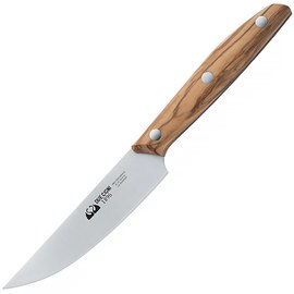 Набор кухонных ножей Due Cigni 1896 Steak America (2C 1019 OL SET4), Цвет : Коричневый, Материал рукояти: Оливковое дерево, изображение 2