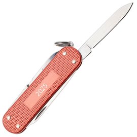 Многофункциональный коллекционный нож Victorinox Classic SD Stone Red (0.6221.L25), изображение 4