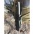 Нож туристический Fallkniven R2 Scout R2z, изображение 6
