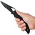Кишеньковий ніж Spyderco Byrd Cara Cara 2 Black (BY03BKPS2), зображення 5