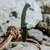 Нож армейский (военный) Cold Steel 5-Max Green (CS-FL-50MAX)