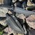 Нож армейский (военный) Blade Brothers Knives Навахеро Стоунвош, изображение 7