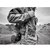 Нож Gerber Spine Compact Fixed Blade- Green 31-003424