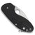 Нож Spyderco Insistent (C246GP)
