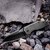 Нож KAI Kershaw Gravel 2065