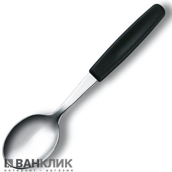 Ложка Victorinox Tea черный 5.1573