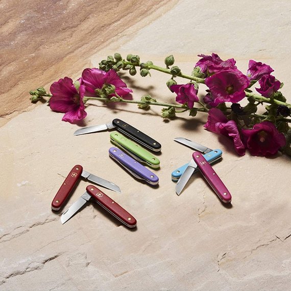 Садовый нож Victorinox Floral 3.9050.3B1, Цвет : Чёрный, изображение 2